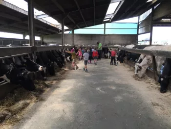  KOEkeloeren Beleefboerderij