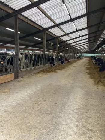 Haagdorenhoeve