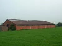 bieënhof