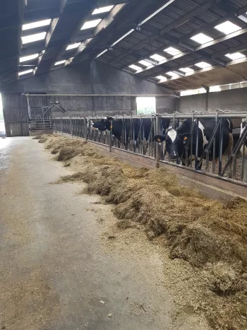 hoeve eigen kweek