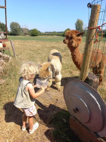 knuffeldiertje7