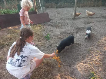 knuffeldiertje9