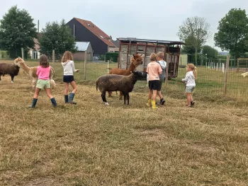 knuffeldiertje10