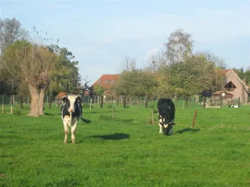 de vierhoekhoeve
