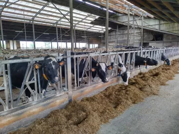 Hoeve Ten Eeckhoutte 