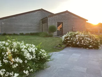 Nabij de Zomerlinde