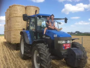 Nabij de Zomerlinde