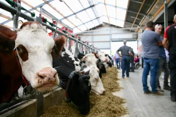 Melkveebedrijf Nagels