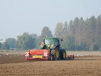 Steenberghoeve 