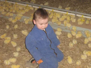 't Hof van Rapenburg 