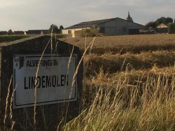 Nabij de Zomerlinde
