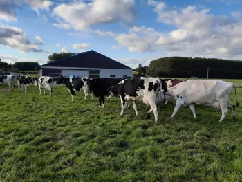 Hoeve De Volle Melk