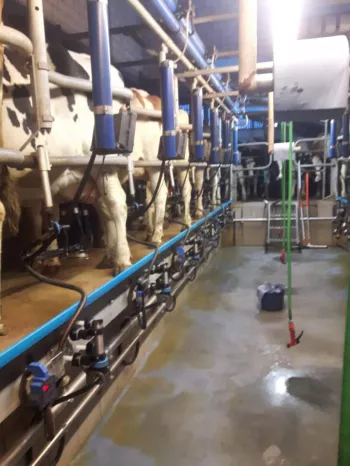 Hoeve De Volle Melk