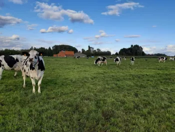 Hoeve De Volle Melk