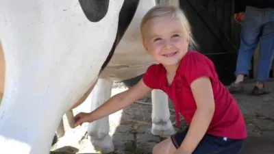 Melkveebedrijf Godrie