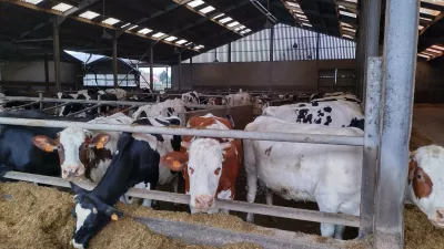 Gebroeders Van Petegem